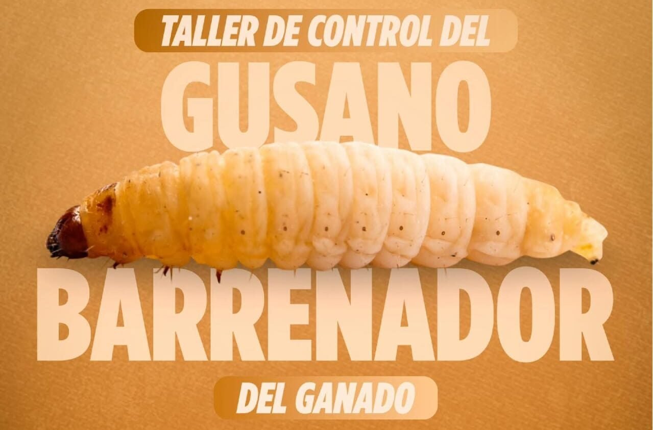 Taller de Control del Gusano Barrenador en el Municipio de Cerro Azul